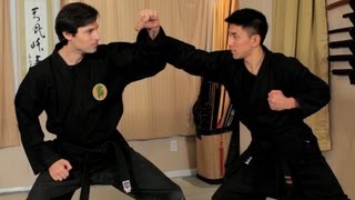 How to Do the Jodan Uke  Ninjutsu Lessons [upl. by Mmada]