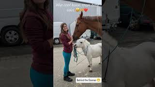 Reitsportmesse Gießen in 32 Sekunden 🦄 kleinetante horse pferde show pony equestrian [upl. by Atel]