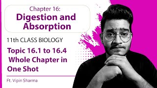 Topic 161 to 164 Digestion and Absorption in One Shot  Best Video for Human Physiology ft Vipin [upl. by Kaye]