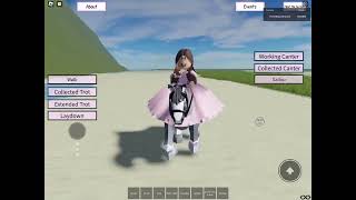 My lease horse Dior❤️💎 woodland springs stables Roblox [upl. by Allesiram]