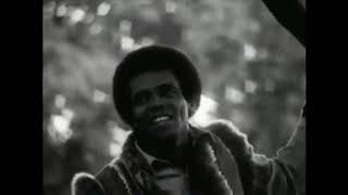 Johnny Nash  I Can See Clearly Now 1970 [upl. by Nosmirc]