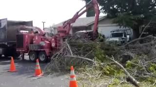 2003 Morbark 3200 Tree Chipper [upl. by Pacificas761]