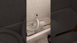 What Was Flushed Down This Toilet [upl. by Hannavas]