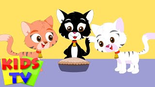 three little kittens  three little cats  nursery rhymes  songs for children  baby lyrics [upl. by Chelsey]