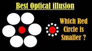 Best Optical illusion  Ebbinghaus illusion Explained  Titchener Circles illusion [upl. by Sullecram545]