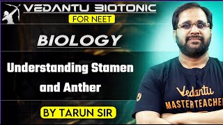 Understanding Stamen and Anther  Structure and Function in Plant Reproduction  TARUN SIR [upl. by Horace5]