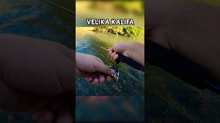 VELIKA Kalifornijska Pastrmka ZGUTALA Meppsa pecanje ribolov fishing spinning [upl. by Jablon911]