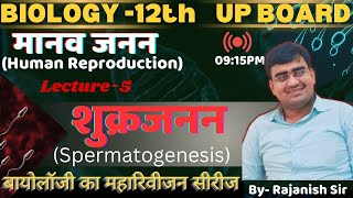 SPERMATOGENESIS  Class12th Biology  UP BOARD  Rajanish sir [upl. by Nnaear658]