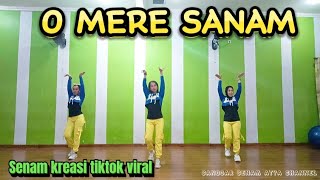 O MERE SANAM  BOLLYWOOD  TIKTOK VIRAL BY sanggarsenamatya8917 [upl. by Saito]