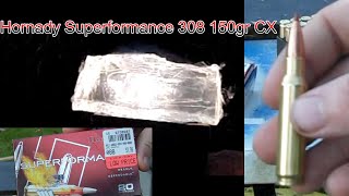 Hornady Superformance 308 winchester 150gr CX clear ballistics gel test and velocity [upl. by Inoliel83]