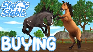 Buying New Mustang Horses  Star Stable ft Jorja [upl. by Ibrab]