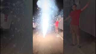 Flower pot happydiwali shorts fireworks viralvideo flowerpot skyshot [upl. by Lisandra]