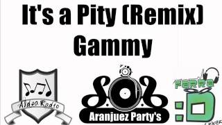 Its a pity Remix  Gammy AranjuezPartys [upl. by Hoye]