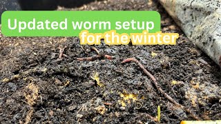 Where I’m keeping my worms this winter [upl. by Neenahs]