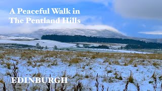 A Peaceful Wintry Walk in The Pentland Hills of Edinburgh in Scotland in the Snow [upl. by Ahsinid]