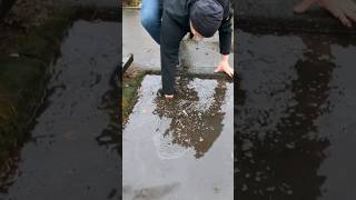 S0272 Unclogging a storm drain after rain in Germany shorts [upl. by Falzetta472]