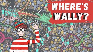 Wheres Wally  Waldo challenge Family fun game FIND WALLY IN TIME 4 [upl. by Aihsiyt]