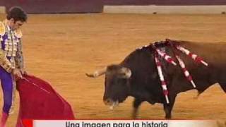 Polémica por la prohibición de los toros en Cataluña [upl. by Davilman]