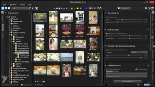 Erste Schritte mit AfterShot Pro für einen schnelleren Arbeitsablauf [upl. by Sitelc]