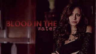 Katherine Pierce  Blood in the water [upl. by Eimar]