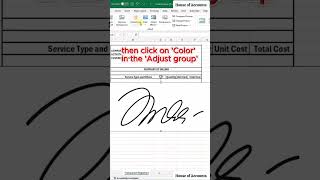 Transparent Signature in Excel [upl. by Cupo]