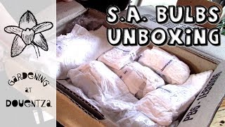 Unboxing of South African bulbs [upl. by Merkley]