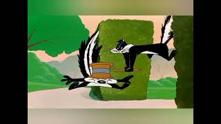 Pepe Le Pew quotes muy doloroso pero muy divertidoquot [upl. by Aicertal965]