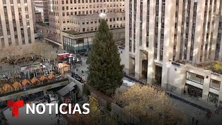 Todo listo para el encendido del árbol de Navidad en Rockefeller Center [upl. by Thebault502]