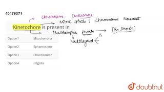 Kinetochore is present in [upl. by Wilburt585]