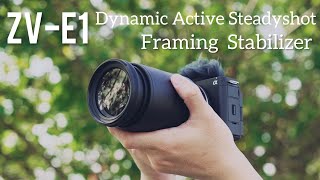 Testing Dynamic Active Steadyshot and Framing Stabilizer on Sony ZVE1 [upl. by Lemar]