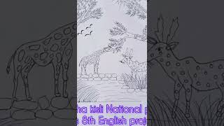 Kanha kisli National park class 8 short YouTube project English [upl. by Broucek49]