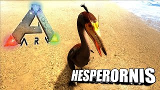 Taming A Hesperornis  Ark Survival Evolved  The Island [upl. by Lleunamme969]