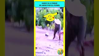 🤣NAIDE VA A PARAR MI AMOR AL FUTBOL funny viral shortmemes humor viralvideo animals beautiful [upl. by Sidnarb]