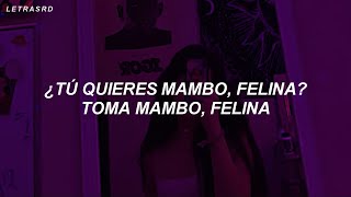 tu quieres mambo felina tiktok LetraLyrics [upl. by Nhabois26]