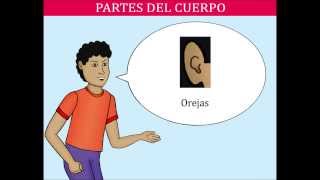 Partes del cuerpo para niños [upl. by Darb]