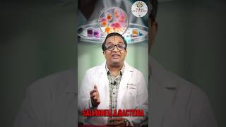 Salmonella Bacteria doctor ayurvedalove ayurvedaindia ayurvedalife [upl. by Aramad]