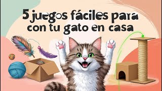 5 Juegos Fáciles para Hacer con tu Gato en Casa [upl. by Niriam]