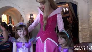 Akershus Royal Banquet Hall Dinner Walt Disney World [upl. by Earazed]