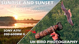 Sunrise and Sunset Bird Photography with Sony 200600mm lens [upl. by Ymerej]