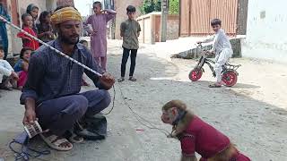 bandar tamasha monkey street play old age entertainment ways [upl. by Lud626]