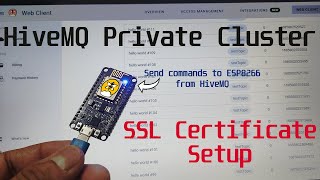 Setting Up HiveMQ Private Cluster SSL Certificate  ESP8266  MQTT  SkillSheen [upl. by Paley]