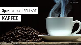 Kaffee Spektrum erklärt [upl. by Anyat]