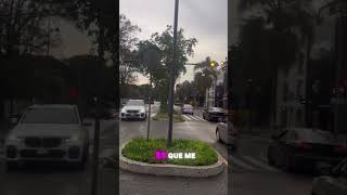 La mejor avenida de Latinoamérica mazaryk polanco cdmx modernidad [upl. by Cadal996]