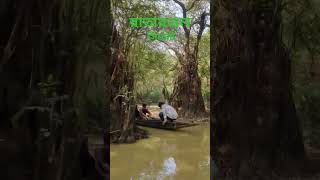 Ratargul Swamp Forest nature relaxing forest relaxingmusic relaxingsounds naturesounds [upl. by Sonstrom176]