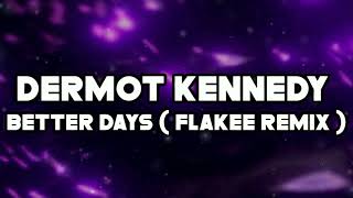 Dermot Kennedy  Better Days Flakee Remix [upl. by Chessy]