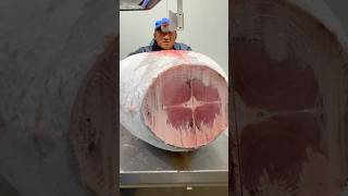 Huge Frozen Tuna Cutting food seafood tuna japan [upl. by Nnylarak460]