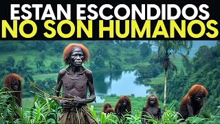 Descubrimiento ESPELUZNANTE En El Congo Que ATERRORIZARON Al Mundo [upl. by Ahsiadal]