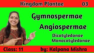 KINGDOM PLANTAE 03 GYMNOSPERMAE amp ANGIOSPERMAE CLASS 11 [upl. by Anayeek]