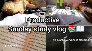 A productive study vlog📚✨️ ftCA aspirant🫶  bcom student cafoundation explore [upl. by Stan514]