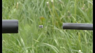 Airgun Barrel to Barrel Pellet Shot [upl. by Omrellug68]